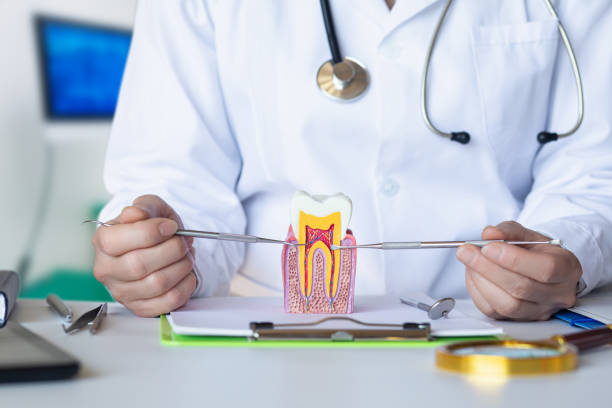 Best Emergency Treatment for Dental Infections or Abscesses in Elida, OH